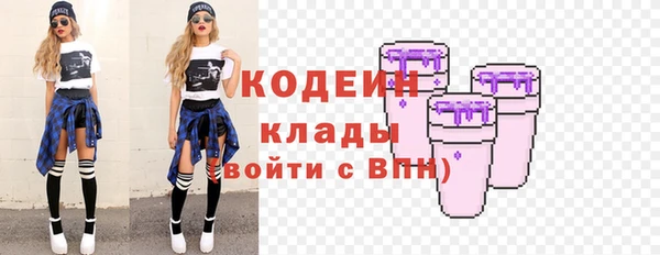 индика Вязники